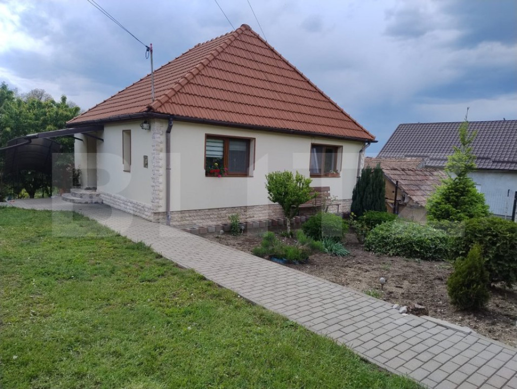 Casa in Teaca cu 4 camere si 10 ari de teren