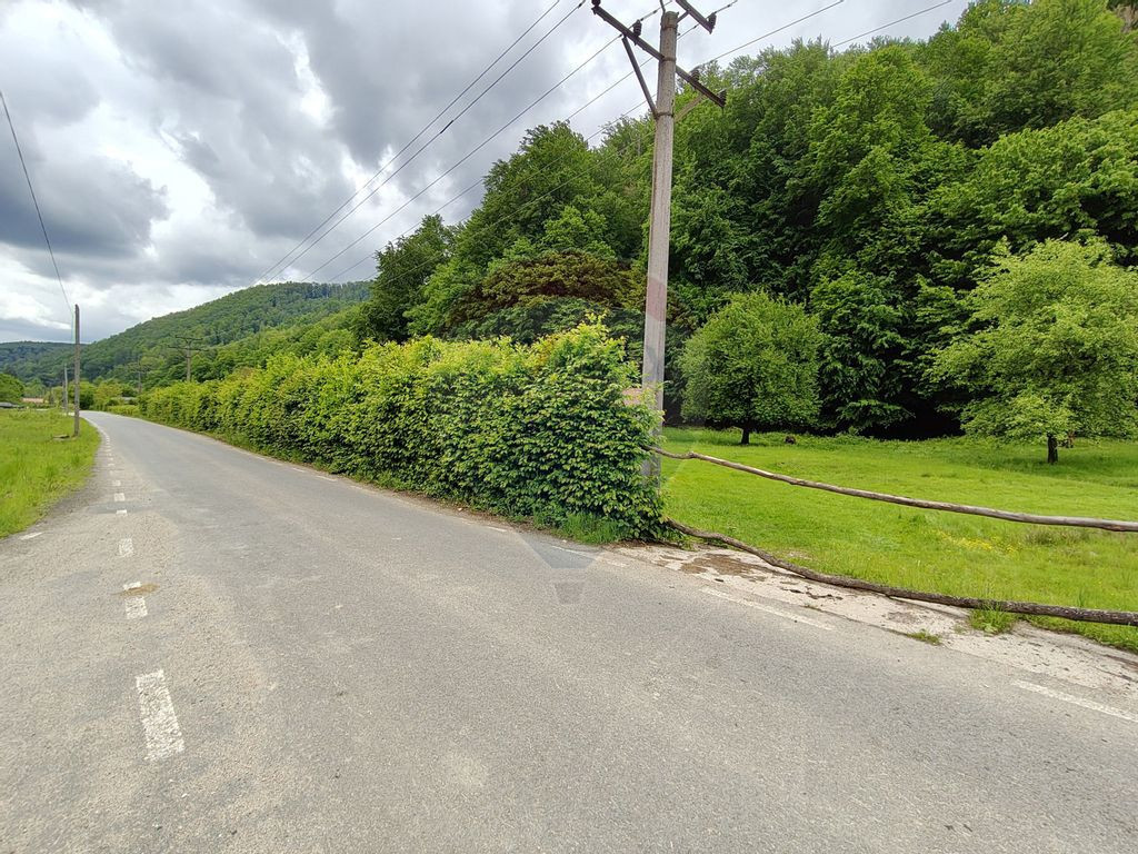 Teren de Vanzare in Zona Linistita