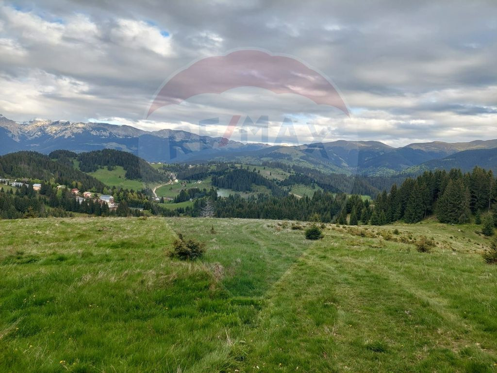 O fereastră către cer – teren de vis în Fundata, la ...