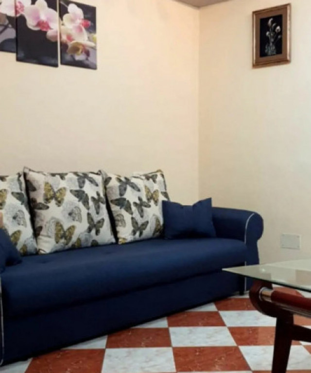 Garsoniera 30 MP, PARTER, CENTRUL CIVIC