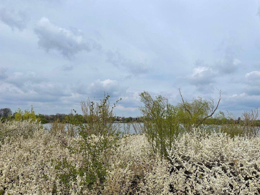 Teren Unic în Corbeanca – Laguna Albastră | Deschider...