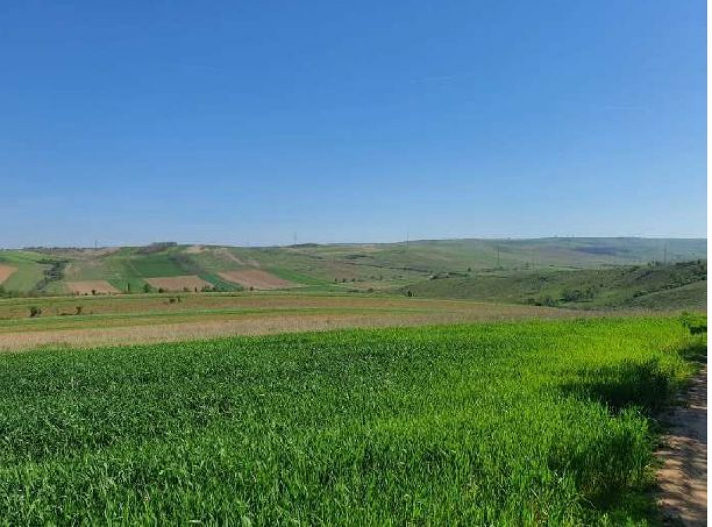 Cota de 1/2 din teren extravilan, comuna Rogova, Jud Mehe...