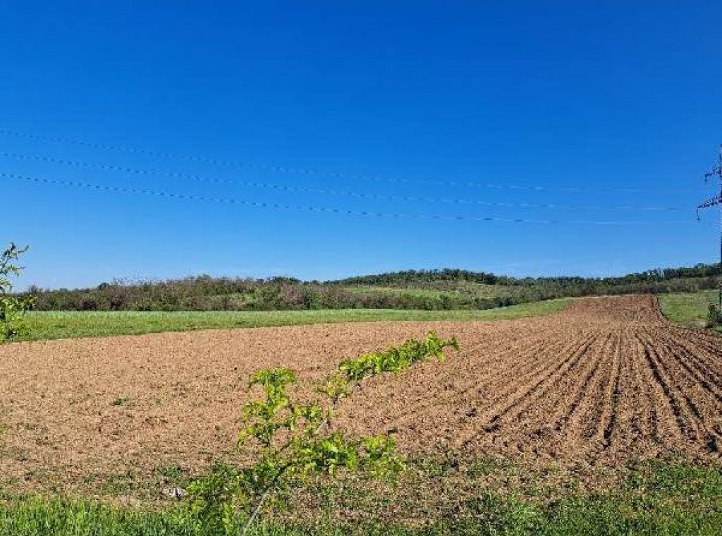 Cota de 1/2 din teren extravilan, comuna Rogova, Jud Mehe...
