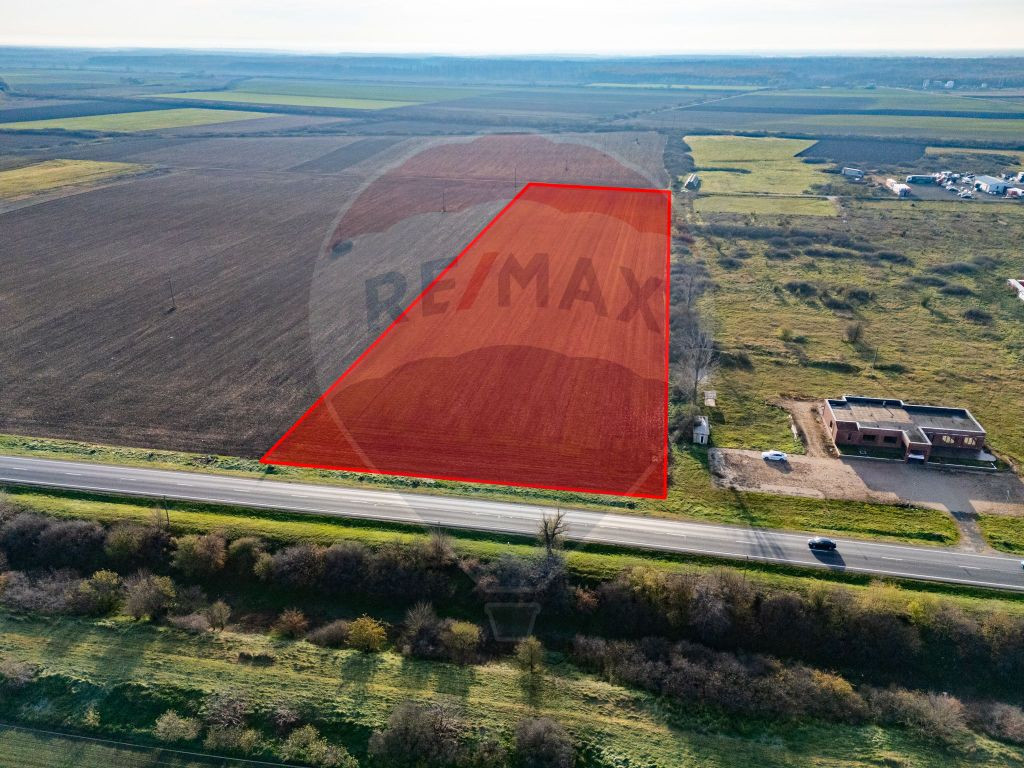 Teren 29220 mp Pecica,DN7, langa autostrada- Ideal pentru...