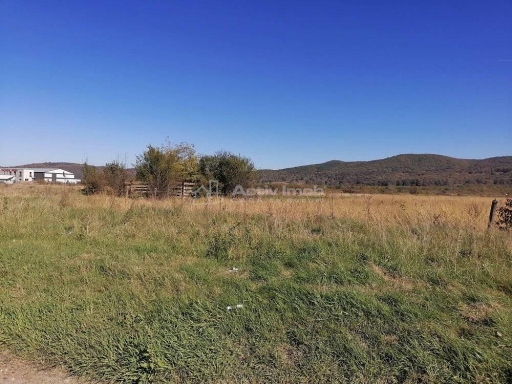 Teren intravilan 3000 mp constructii industriale