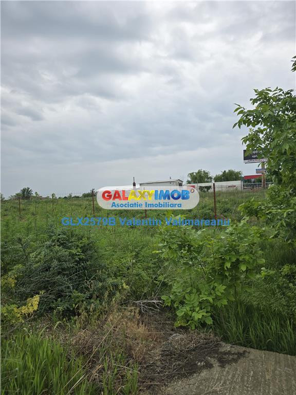 Teren 1 Decembrie VI 011