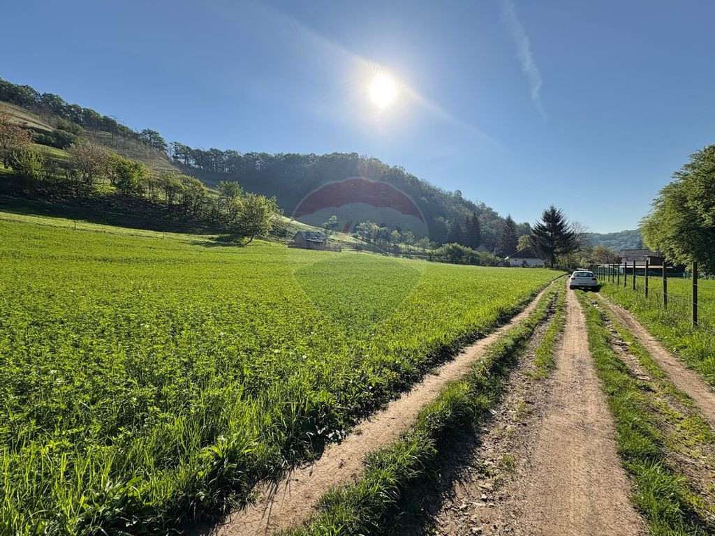 Teren 3,200mp Medias / Strada Greweln