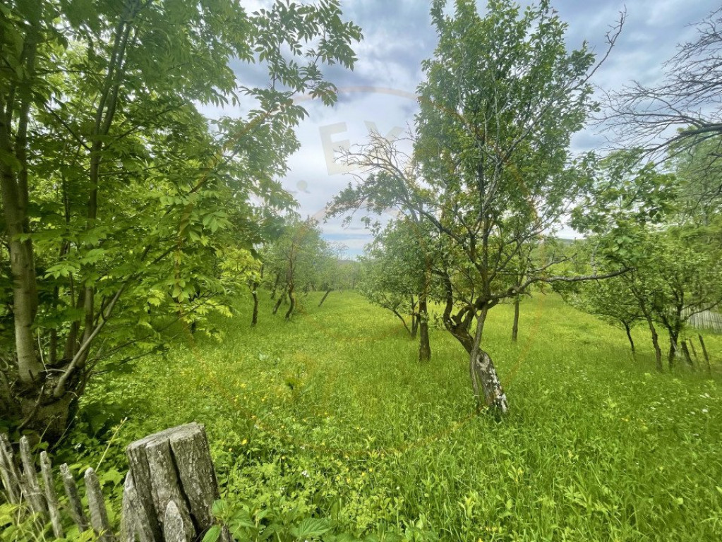 Teren Cartier Rezidential Nou- Natura, Liniste si Acces Faci