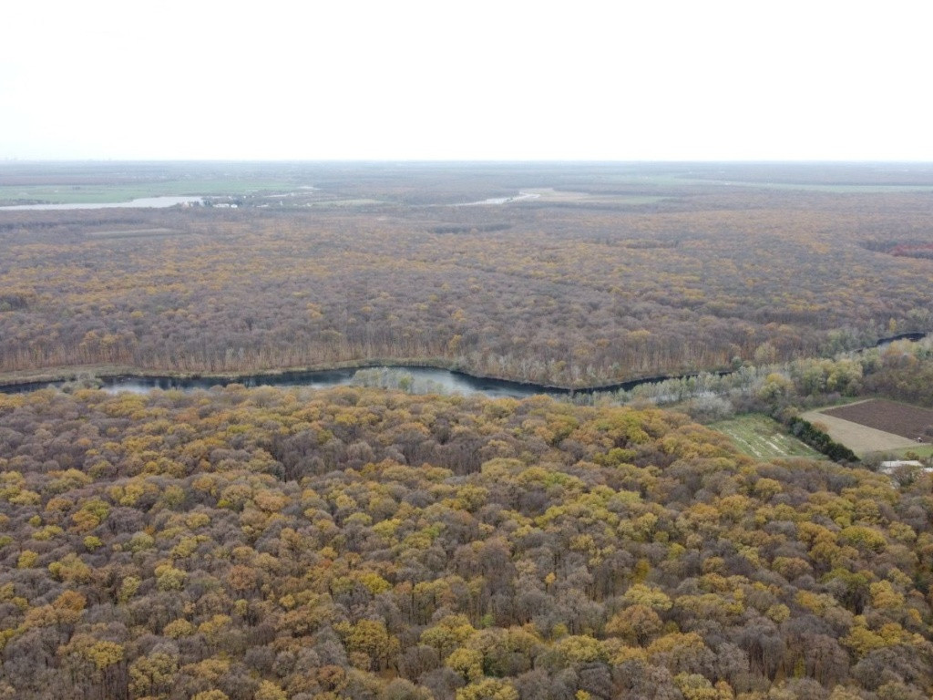 Teren situat langa Padure l Balta Neagra