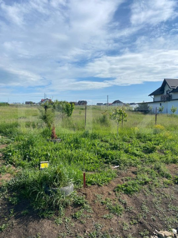 Teren intravilan de vanzare, 1000 mp, zona Scheia