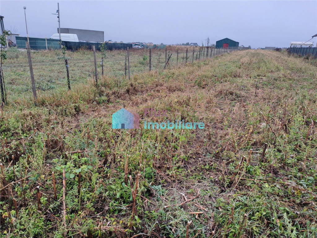 Teren intravilan 2700 mp Dumbraveni