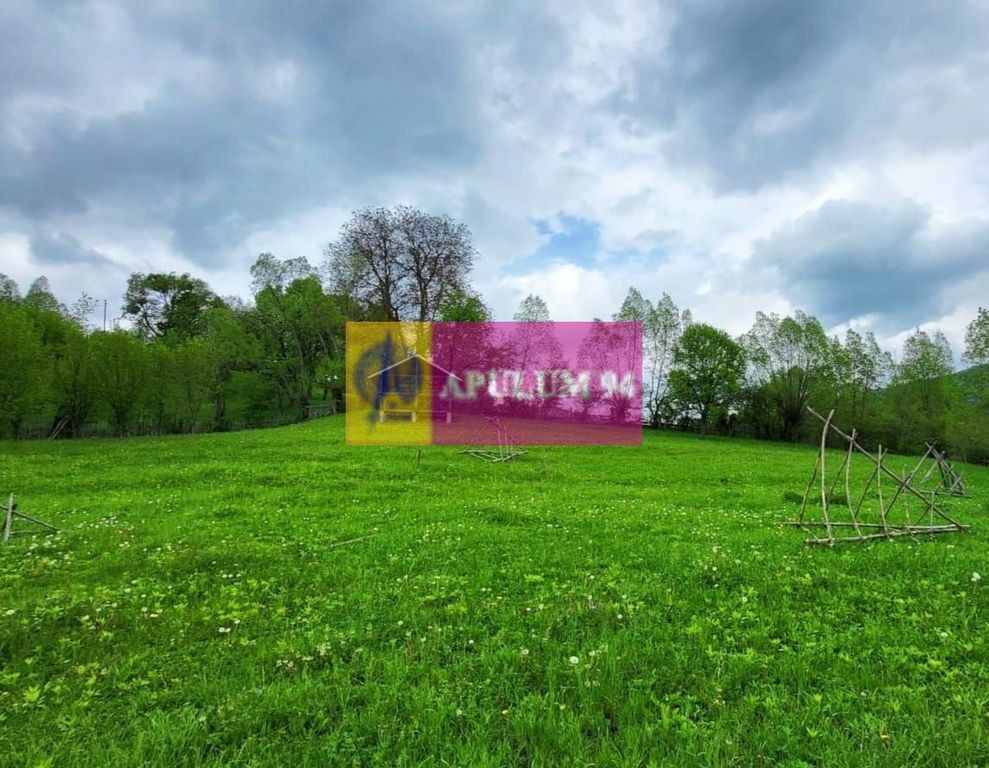 Teren de vanzare in Valea Doftanei - Sat Tesila