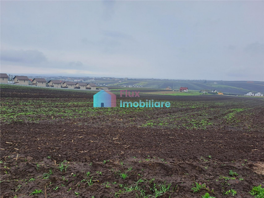 Teren intravilan 2391 mp in Sf. Ilie