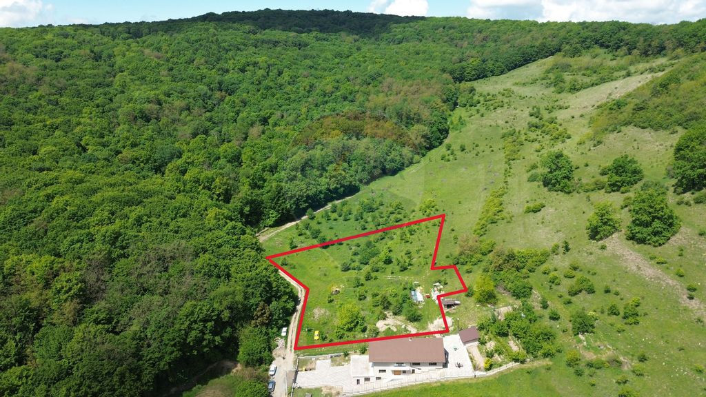 Teren intravilan 6.000 mp în Wewern – ideal pt dezvolt...