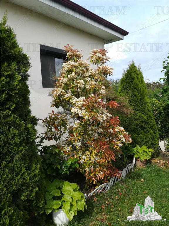 Casa individuala cu 4 camere in Corbu Constanta liniste natu