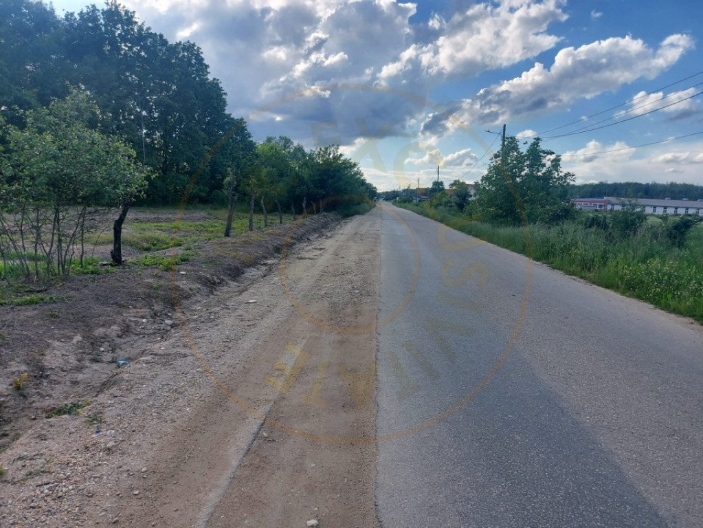 Teren Cerbu - Albota - cu PROIECT CASA si AVIZE