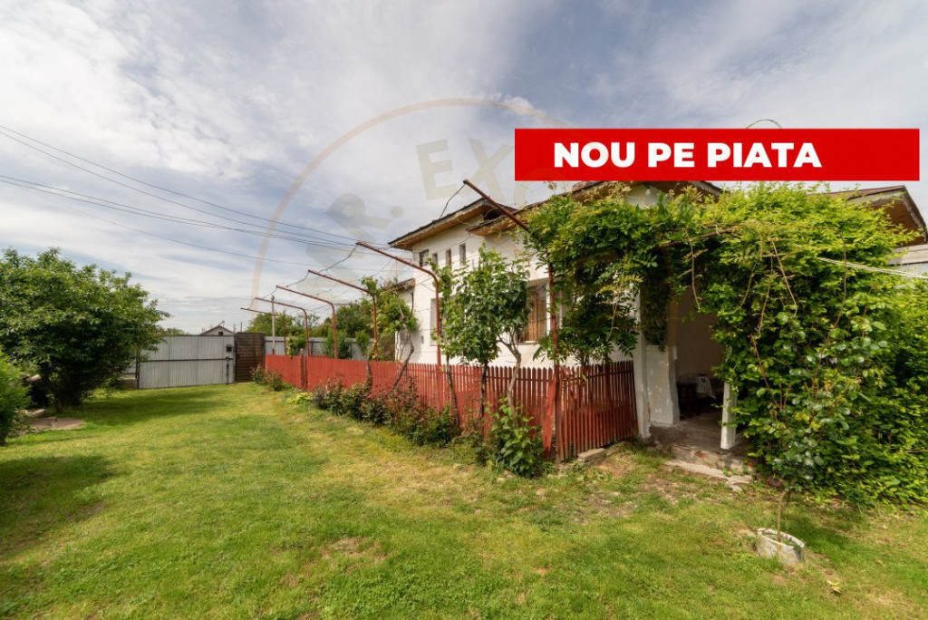 Casa la tara - Com. Ratesti, sat Nejlovelu - la 30 km de Pit