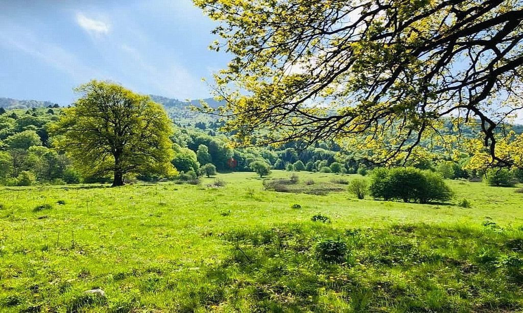 TEREN POTENTIAL TURISTIC - Rasnov - Cheisoara