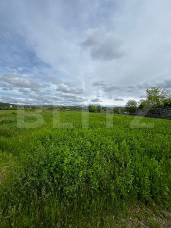 ????Teren extravilan 2.800 mp în Livezile