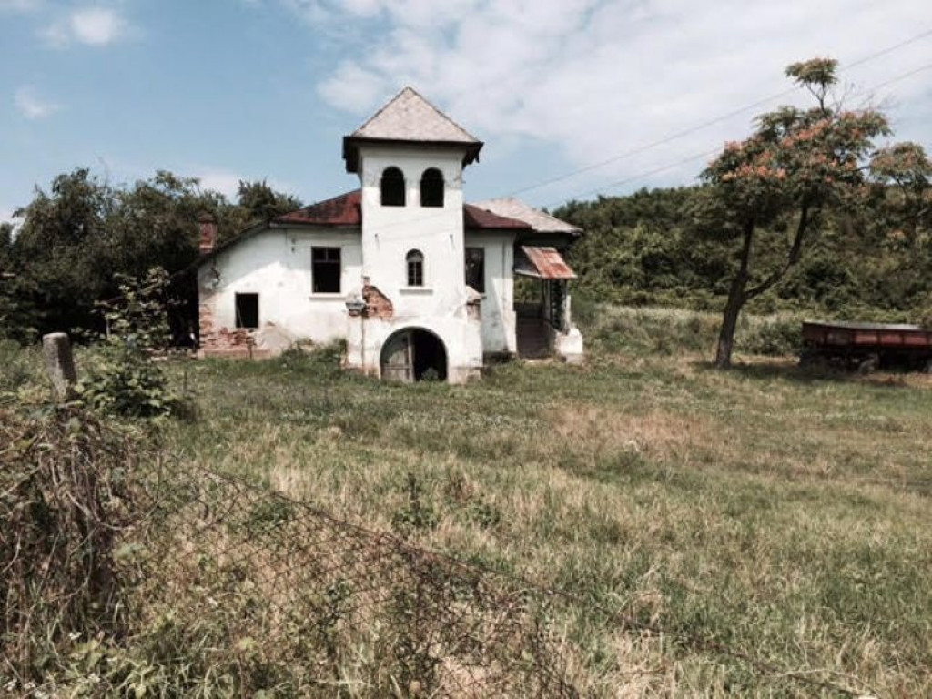 Conac boieresc + teren de 53.000 mp cu vita de vie
