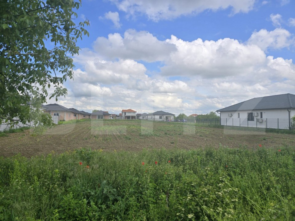 Teren intravilan, 3500 mp. Paulesti