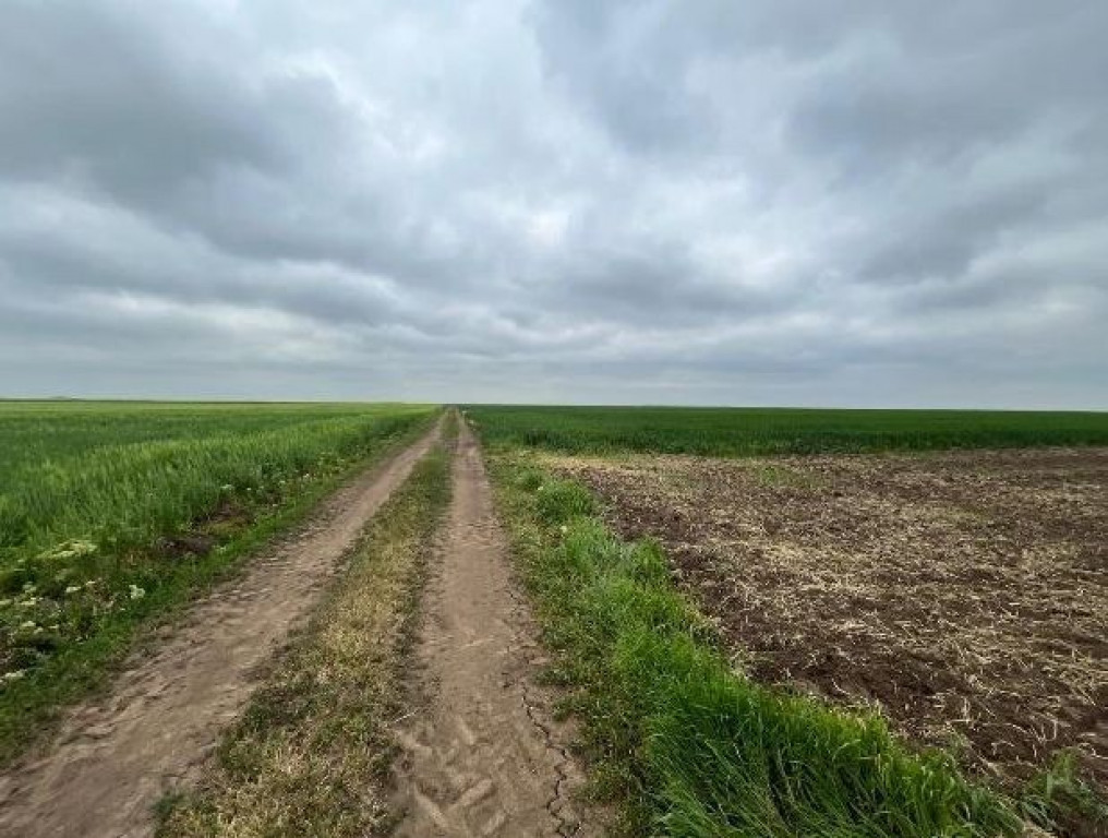 Teren extravilan, loc. Salcia, Judetul Teleorman