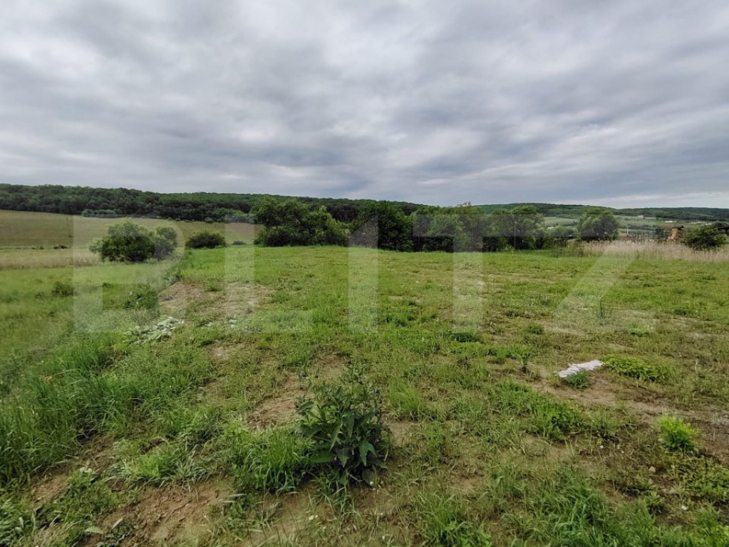 Teren 10 ari in Livezeni la str. Lunga