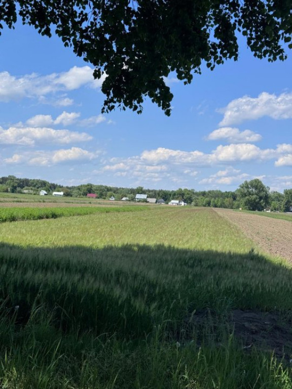 Teren extravilan, 4000mp, Fratautii vechi