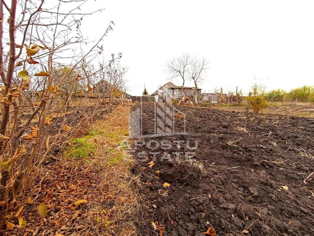 Teren 1000mp Cu Utilitati Dudesti Noi