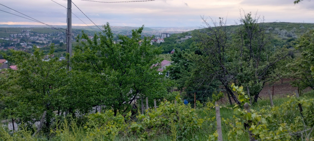 Bucium!Teren intravilan cu casa,1500mp!