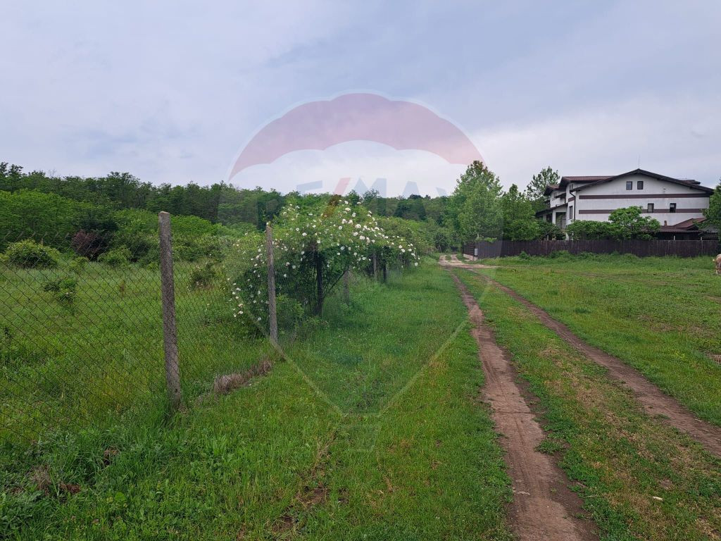 Teren Silistea Snagovului loturi 500 /1000 mp langa padur...