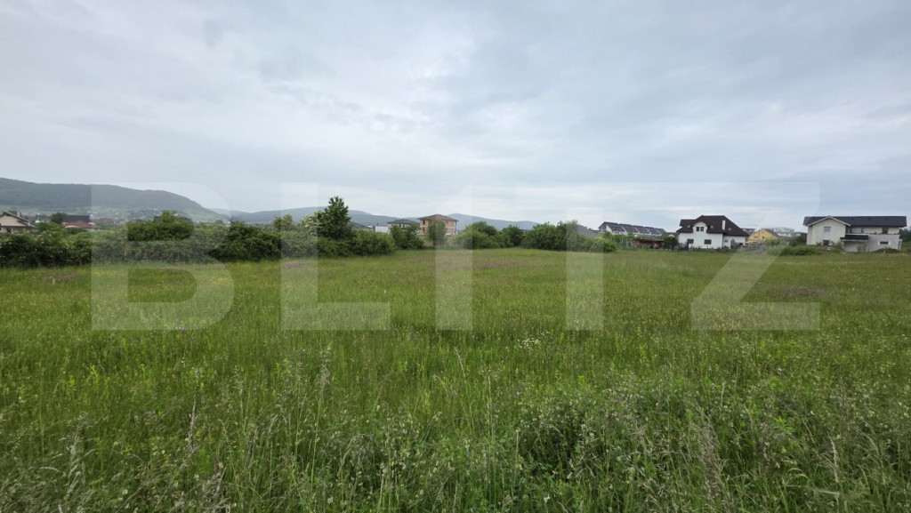 Teren intravilan, 48,3 ari zona Valea Rusului,