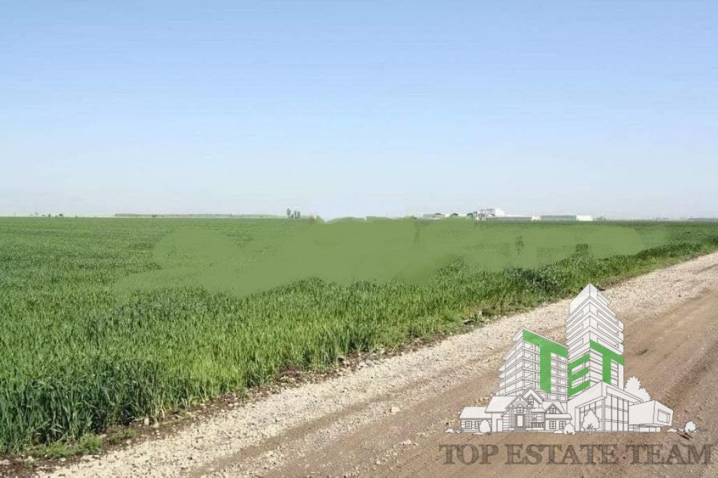 Teren de vazare pt investitie, Sinesti, 4 eur / mp, 21000mp