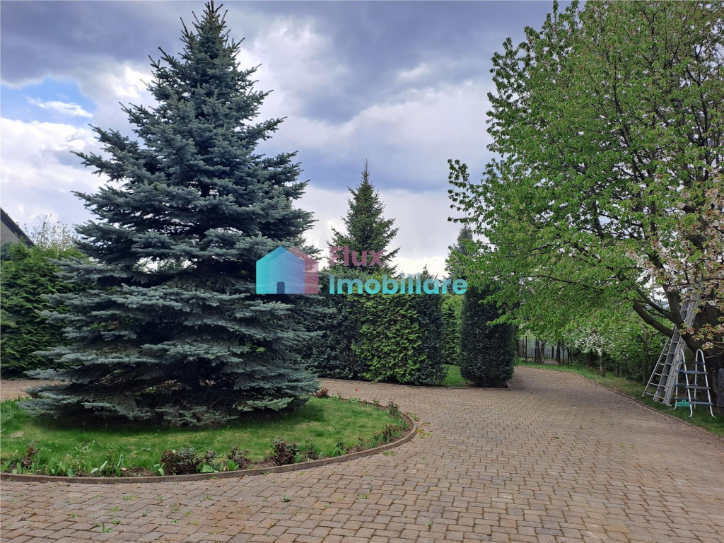 Teren intravilan 1000 mp in Scheia