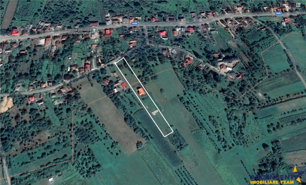 FILM! Domeniu de 5.000mp Casa, in Berchez:o bijuterie ascun