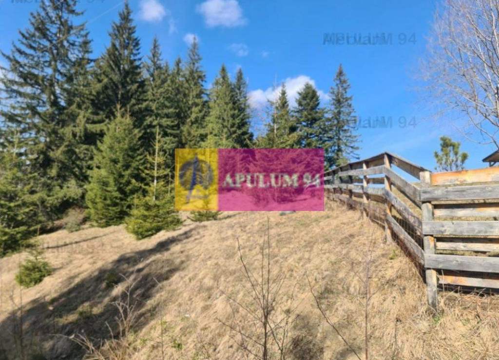 Teren de vânzare în Predeal - Zona Forban