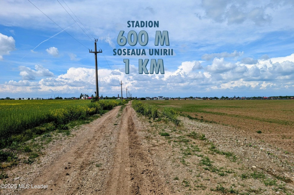 Balotesti, teren 27840 mp, 57 x 491 m, canalizare, asfaltare aprobata