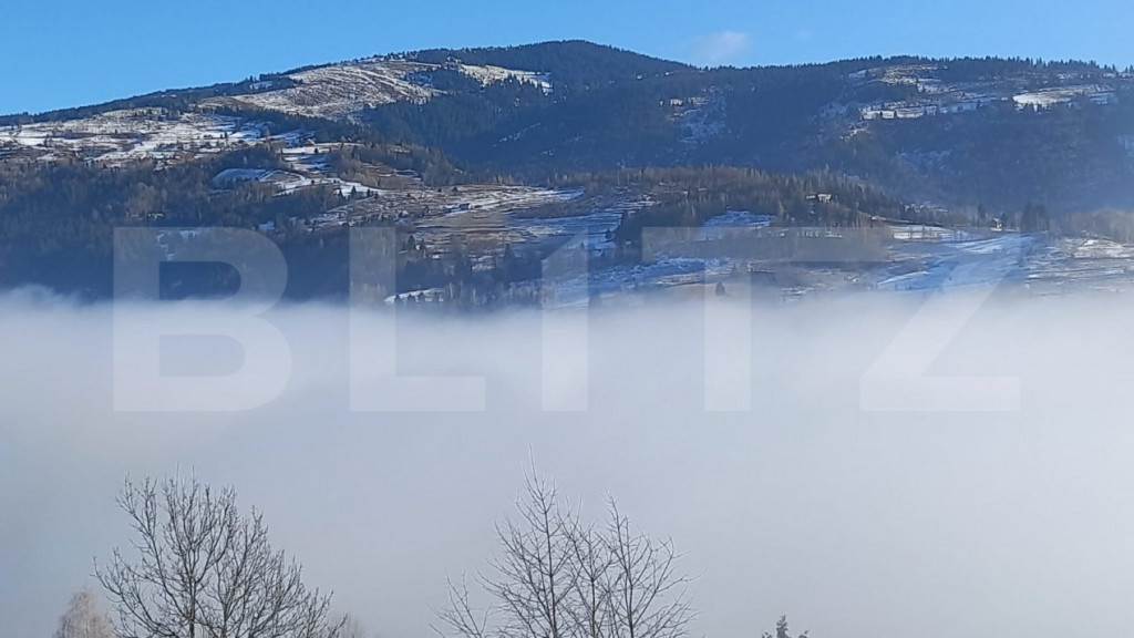 Teren de vânzare în Munții Apuseni – 10.831 mp, zonă m