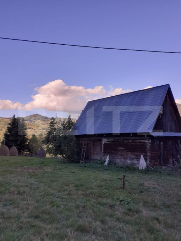 Casă la munte, cu teren 13383 mp, zona Horea - Apuseni