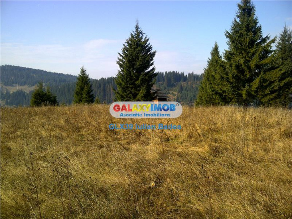 Teren pentru Complex Turistic - 12 730 mp - Vatra Dornei