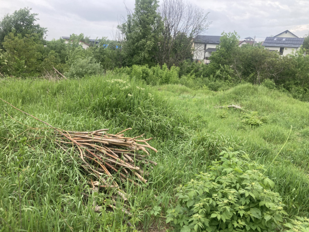 Breazu!600mp! Teren intravilan,toate utilitatile,spatii verz