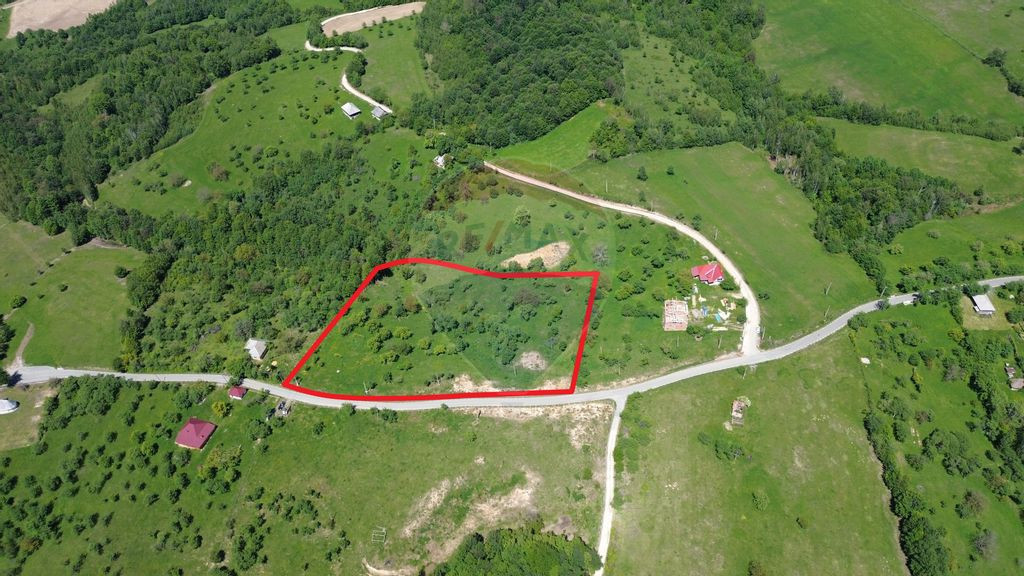 Teren intravilan de vanzare 12,700mp Codru Butesii / Stra...