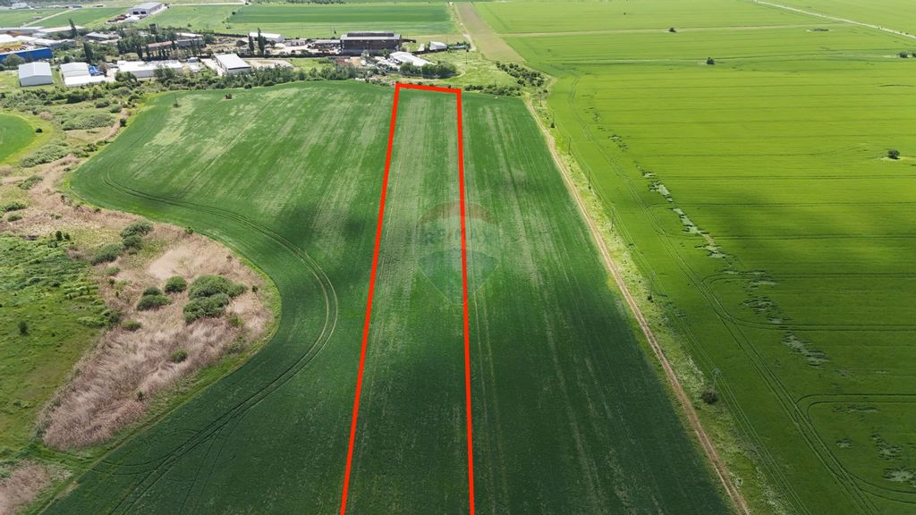 Teren intravilan de vanzare Chitila / Loturi de casa / Ilfov