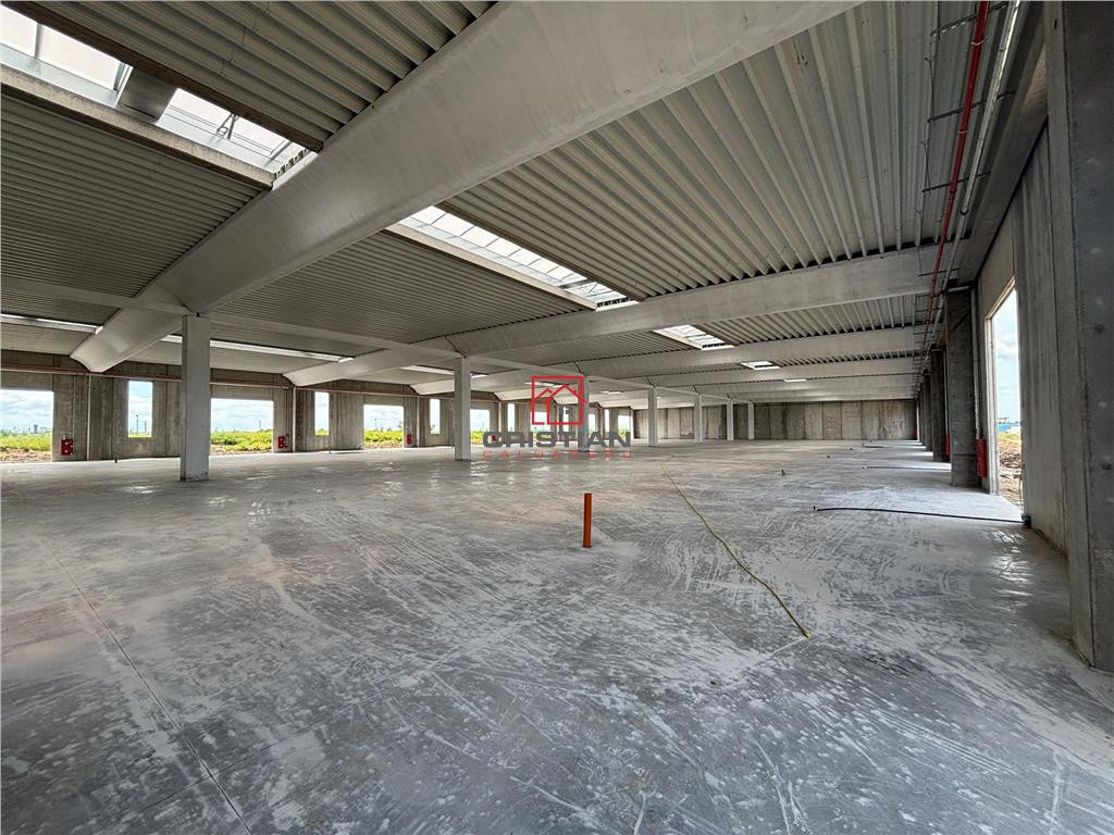 Depozit/spatiu industrial/hala Chitila - Rudeni, ILFOV