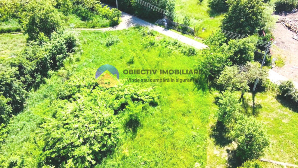 TEREN intravilan DOBRENI - SARATA