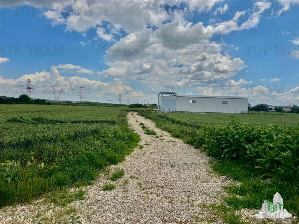 Teren pentru hale cu deschidere 40ml de in Bragadiru