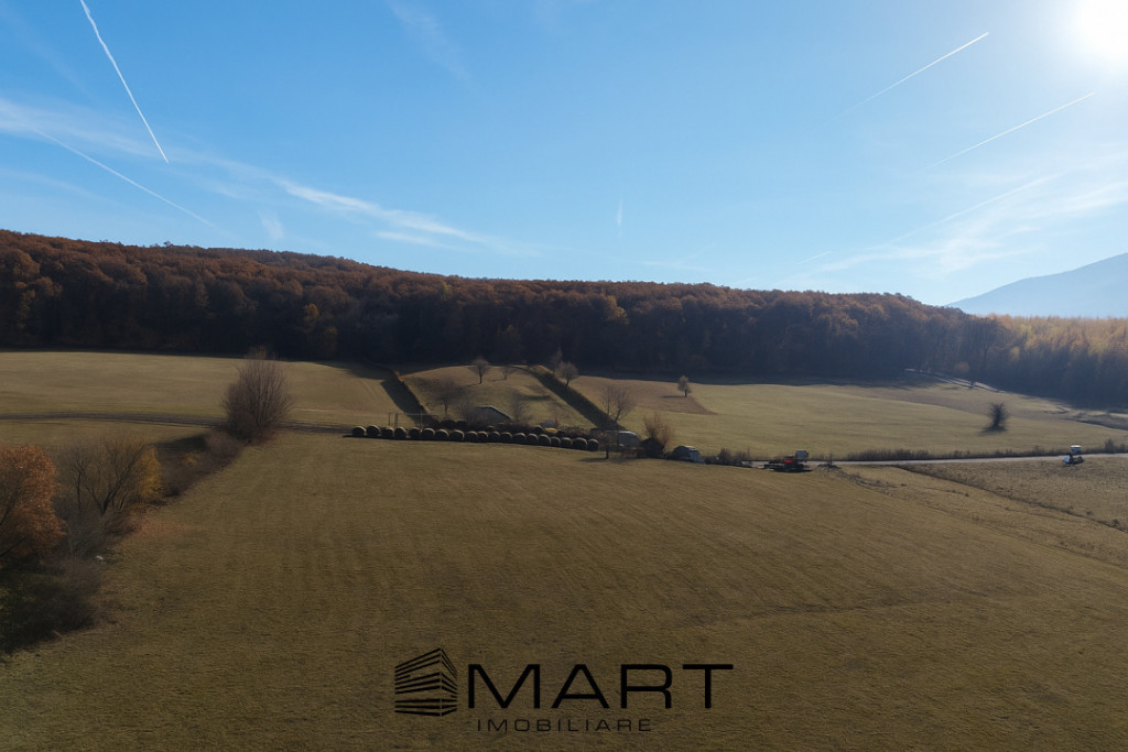 Oportunitate!! Teren 500mp aproape de liziera padurii in Toc