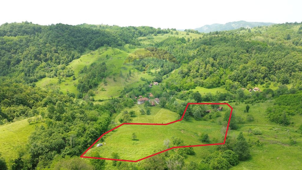 Teren intravilan de vis în Munții Apuseni, curent + izv...