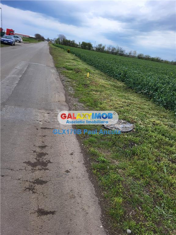 Teren Moara Vlasiei 65000 mp Industrial utilitati apropiere