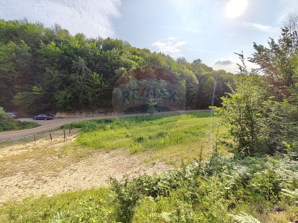 DE VÂNZARE – Teren intravilan, Coaș, Maramureș (0% c...